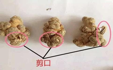 三七的剪口